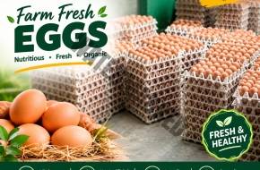 EGGS – FARM FRESH