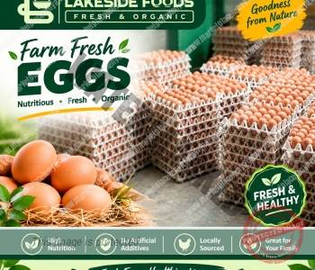 EGGS – FARM FRESH