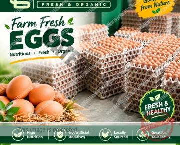EGGS – FARM FRESH