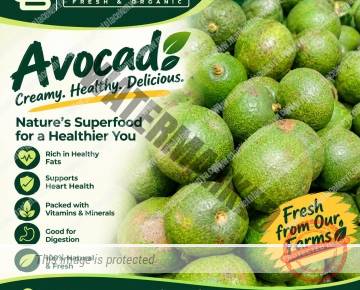 AVOCADO