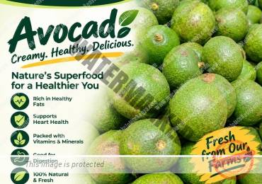 AVOCADO