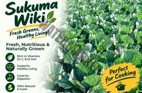 SUKUMA WIKI (KALE)