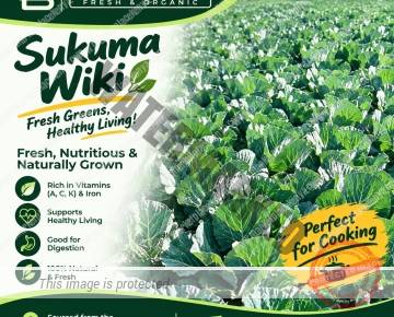 SUKUMA WIKI (KALE)