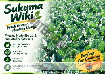 SUKUMA WIKI (KALE)