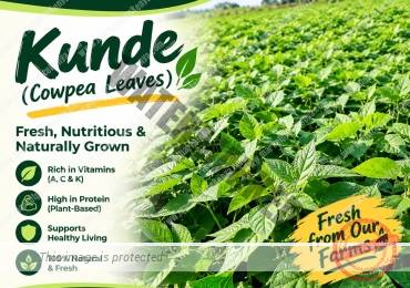 KUNDE VEGETABLE