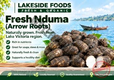 FRESH NDUMA