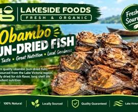 OBAMBO – SUN-DRIED FISH, NILE PERCH (MBUTA) – HARD-FRIED