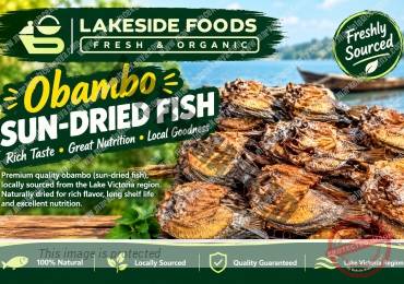 OBAMBO – SUN-DRIED FISH, NILE PERCH (MBUTA) – HARD-FRIED