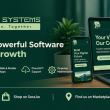 Savvysoft Systems