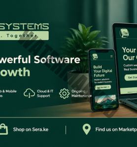 Savvysoft Systems
