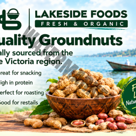QUALITY GROUNDNUTS