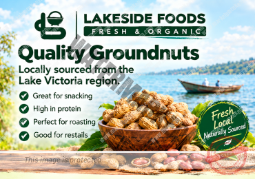 QUALITY GROUNDNUTS