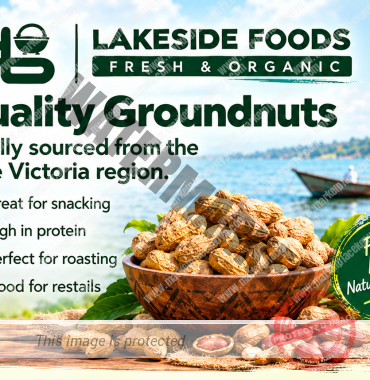 QUALITY GROUNDNUTS