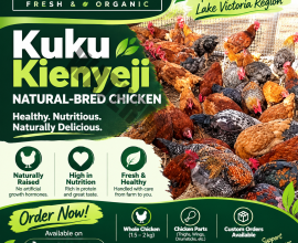 KUKU KIENYEJI