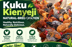 KUKU KIENYEJI