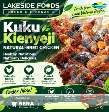 KUKU KIENYEJI